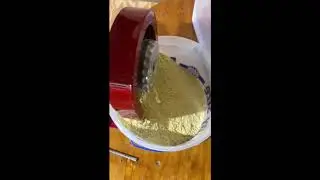 Grinding Cornmeal | GrainMaker #99 Foodmill | #shorts