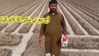 Aaj humne makkhi kam Kiya shahid family vlog1 
