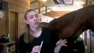 how to de-worm a horse