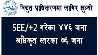 Nepal Electricity Authority Vacancy 2079 | Nepal Bidhut Pradhikaran Vacancy 2078 | Job Vacancy Nepal