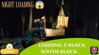Z BLACK GRANITE|| SOUTH BLACK GRANITE ||JET BLACK ||LOADING