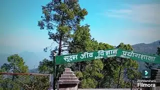 College of Forestry Ranichauri
