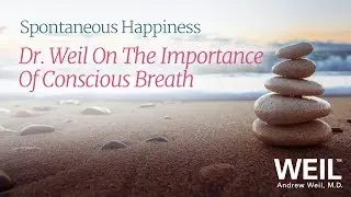 The Importance Of Conscious Breath | Andrew Weil, M.D.