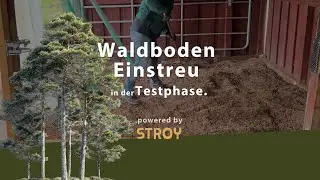 Nat&uuml;rliche Waldfrische im Pferdestall &ndash; wir starten unser Waldboden-Einstreu-Projekt!