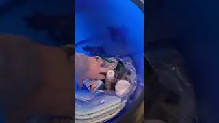 Goat Kidding Kit