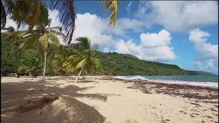 Peaceful 4K Beach & Ocean Scenes 🌊 | Cinematic Footage with Relaxing Background Music
