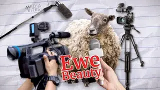 Loneliest sheep in Britain | Media Bites