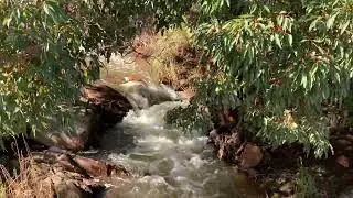 Lesmurdie Waterfall