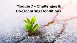 Co Occurring Conditions ASD Presentation