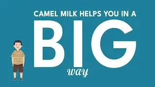 Monch Camel Milk Powder Helps In Height