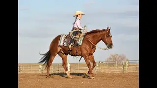 CR Tuff It Out - 