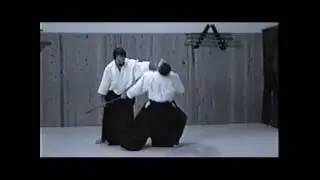 合気道 aikido René Vdb shihan