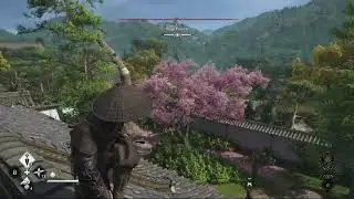 Nijo Palace Guide with All Samurai Daisho & Chest Locations in Assassin's Creed Shadows