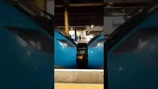 a train video cool #train