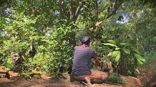 Satisfying Pruning: Creating a Neat Garden with Simple Tools _FarmersLife _Shorts