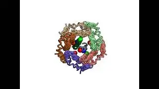 Theoretical insights into rotary mechanism of MotAB in the bacterial flagellar motor