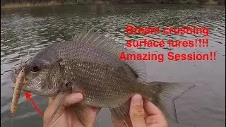BREAM SMASING SURFACE LURES PART 1
