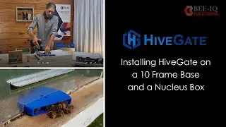 Installing HiveGate on 10 frame base and nuc box