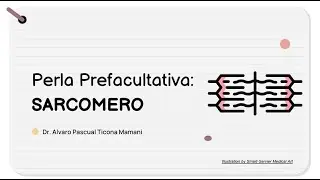 Perla Prefacultativa 18 - Sarcomero HISTOLOGIA (Tema 7)