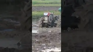 Small Tractor Transport Rice