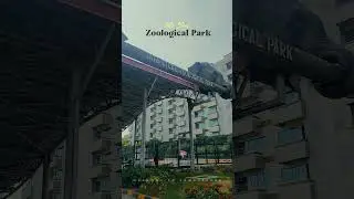 Tata Steel Zoological Park 😍 #welcometojamshedpur #jamshedpur #tatasteelzoologicalpark #tatasteel