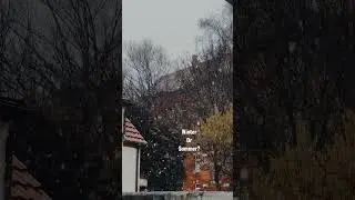 Snow Fall in germany | Ulm #shorts #winter #snowfall