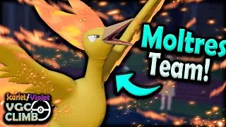Anti-Meta KANTO MOLTRES Team is CRAZY! | Regulation D | Pokemon Scarlet and Violet VGC 2023