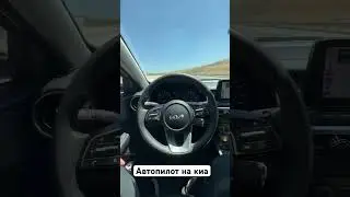 Kia forte ,кушаю за рулем