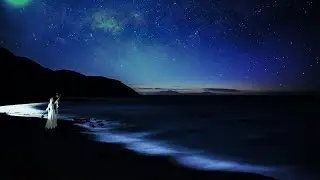 花びらと星屑 (Flower petals and stardust) - R子/ Yuri Rko (Lyrics Video with English translation) 歌詞英訳付き