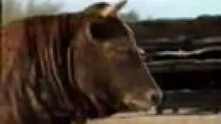 HP - Makes Beef Sing