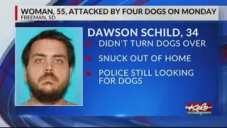 Pit bulls at large after Freeman dog attack
