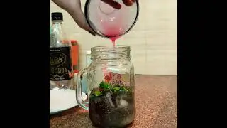 Homemade Rose Mojito - Roohafza Mojito 🍹🍹 Easy Refreshing Drink To Make @ Home 👌👌