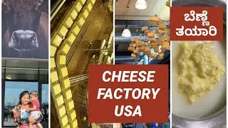 Cheese Factory USA.. Homemade Ghee Recipe..Butter Cheese Ghee ಚೀಸ್ ಫಾಕ್ಟರಿ Kannada vlogs  English CC
