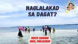 hidden Sandbar in Anda, Pangasinan | Island Hopping | Purod Sandbar | tondol white sand beach