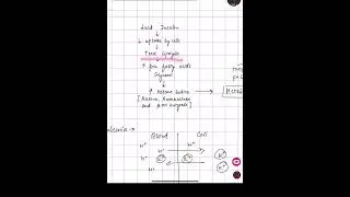 Ketosis #mbbs #medzilla #biochemistry