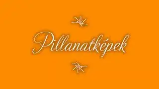 Bring&aacute;s v&aacute;ndort&aacute;bor B&uuml;kk Aggtelek 2019 j&uacute;lius