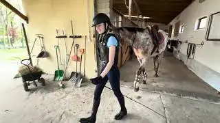 Amelia i Staś ISKIERKA 2025r TEST