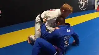 Tim Welch Jiu jitsu