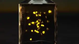 Firefly Jar