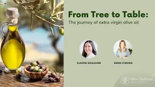 From Tree to Table: the journey of extra virgin olive oil