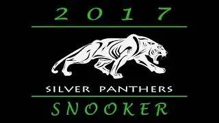 MSC Silver Panthers (40+) 2017_8-Down2. Igor Yakovlev vs Roman Avetov. Best of 3