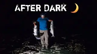 After Dark Catfishing in Texas / 3 MONSTER cats