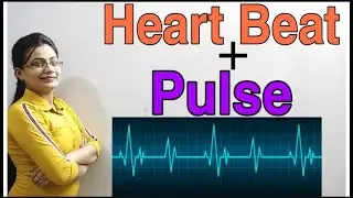 DG Pathshala|| Heart Beat|| Pulse|| Circulatory System|| Topic for Class-10 ICSE/CBSE Biology