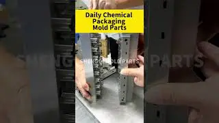 Daily Chemical Packaging Mold Parts  #mold #mould