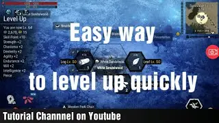 Durango Wild Lands - Level Up Quickly
