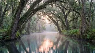 Heavenly Soft Piano for Spa & Massage 🕯️ Healing River Sounds & Birds for Relaxation