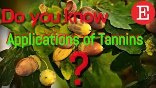 【Biochemistry & Molecular Biology】 Tannins Applications