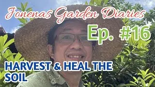 Ep. 16 | Garden Maintenance, Rich Soil & a Fruitful Eggplant Harvest #jonenasgardendiaries 