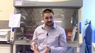 Gene Therapy and Enhancing Gene Expression Inside T Cells