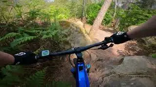 VTTAE - Fontainebleau sentier VTT n°4 MBF/ONF - 09/05/22